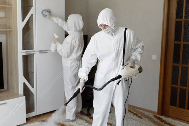 Best Attic Mold Removal  in Sunbury, OH